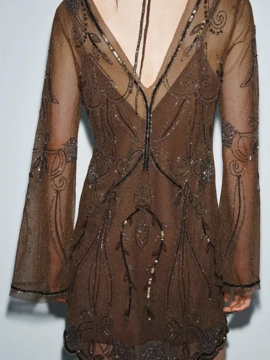 Zara Brown Sheer Beaded V-Neck Mini Dress - Picture 4 of 9